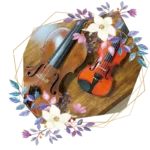 violin02